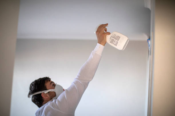 Best Office Mold Removal Services  in South Monrovia Island, CA