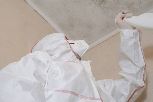South Monrovia Island, CA Mold Removal Company