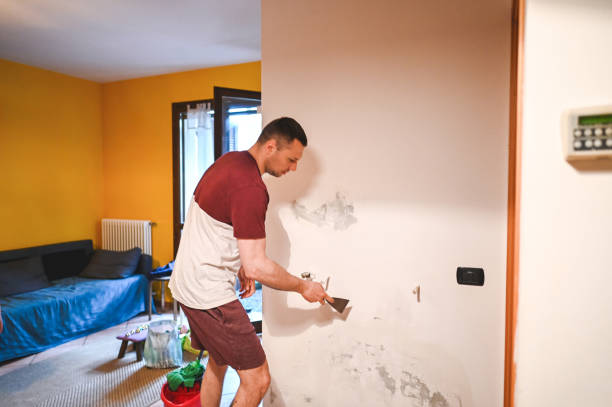 Best Attic Mold Removal  in South Monrovia Island, CA