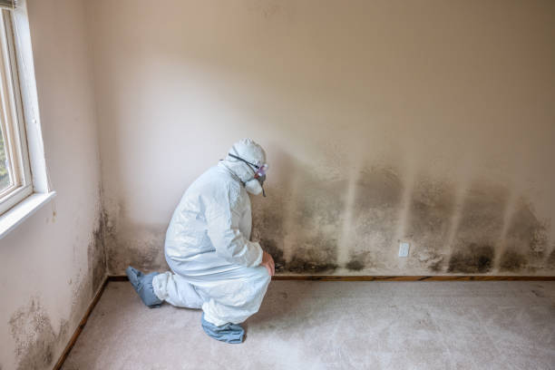 Best Mold Testing  in South Monrovia Island, CA