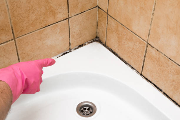 Best Water Damage Restoration  in South Monrovia Island, CA
